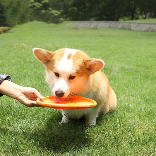 dog frisbee pet toys multi plate dog bite resistant