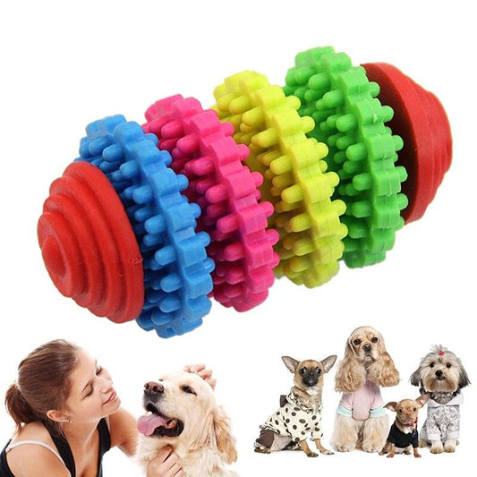 small large dogs pet supplies